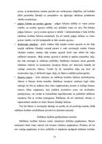 Referāts 'Reklāmas politika uzņēmumā LatinSoft', 23.