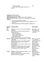 Prakses atskaite 'Prakses atskaite pirmsskolā', 3.