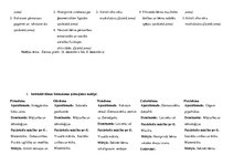 Prakses atskaite 'Prakses atskaite pirmsskolā', 7.