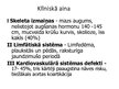 Prezentācija 'Tērnera sindroms (Xo, x hromosomas delēcija)', 4.