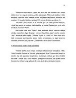 Referāts 'Reklāmas plāns maiznīcas "Ieva” Ziemassvētku produkcijas piedāvājumam - piparkūk', 16.