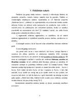 Referāts 'Reklāmas saturs un auditorijas uztvere. Ētiskie un estētiskie aspekti', 4.