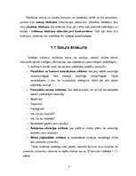 Referāts 'Reklāmas saturs un auditorijas uztvere. Ētiskie un estētiskie aspekti', 8.