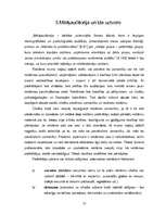 Referāts 'Reklāmas saturs un auditorijas uztvere. Ētiskie un estētiskie aspekti', 17.