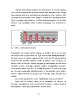 Referāts 'Reklāmas saturs un auditorijas uztvere. Ētiskie un estētiskie aspekti', 21.