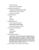 Referāts 'Umberto Eko "Rozes vārds"', 22.