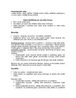 Konspekts 'Valsts vara, pārvaldes formas, politiskie režīmi', 3.
