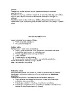 Konspekts 'Valsts vara, pārvaldes formas, politiskie režīmi', 7.