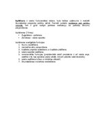 Konspekts 'Valsts vara, pārvaldes formas, politiskie režīmi', 11.