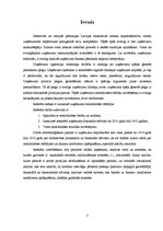 Referāts 'Rentabilitātes rādītāju analīze', 3.