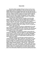Eseja 'Mana izvēle', 1.