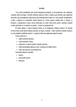 Referāts 'Konfliktu rašanās iemesli', 3.