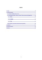 Referāts 'Triju Eiropas valstu galvaspilsētu rekonstrukcija 19.gadsimtā', 5.