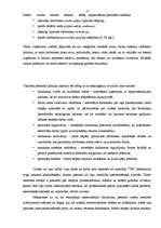 Referāts 'Restorāna “Talsu Muiža” izstrādes projekts', 13.