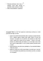 Referāts 'Restorāna “Talsu Muiža” izstrādes projekts', 29.