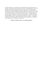 Referāts 'Sarkans', 2.