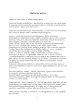 Referāts 'Sarkans', 3.