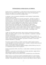 Referāts 'Sarkans', 5.