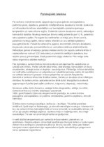 Referāts 'Sarkans', 7.