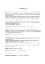 Referāts 'Sarkans', 9.