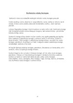 Referāts 'Sarkans', 10.