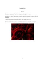 Referāts 'Sarkans', 12.