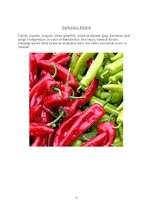 Referāts 'Sarkans', 13.