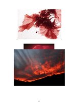 Referāts 'Sarkans', 20.