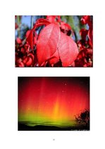 Referāts 'Sarkans', 22.