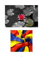 Referāts 'Sarkans', 23.