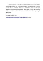 Konspekts 'Uzņēmuma SVID analīze', 4.