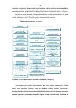 Referāts 'VSAA darbības raksturojums', 10.