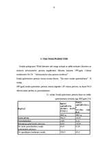 Referāts 'VSAA darbības raksturojums', 13.