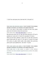 Referāts 'VSAA darbības raksturojums', 21.