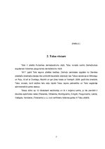 Referāts 'Posma Tukums-Talsi pasažieru pārvadājumu analīze', 7.