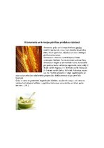 Referāts 'Graudaugi, to pārstrāde', 10.