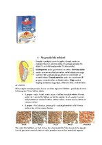 Referāts 'Graudaugi, to pārstrāde', 12.