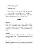 Referāts 'Senlatviešu reliģija', 13.