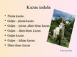 Prezentācija 'Kazas', 3.