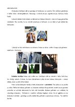 Prezentācija 'Kungu apģērbs - kaklasaite, kurpes, zeķes, aksesuāri un tumšs uzvalks', 9.