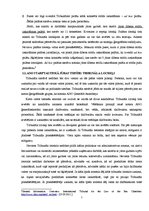 Referāts 'Starptautiskais tribunāls jūras tiesībās, uzbūve, jurisdikcija, kompetence, proc', 5.