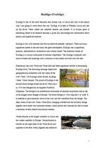 Eseja 'Kuldiga (Coolidge)', 1.