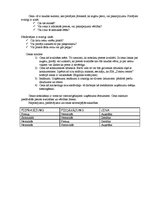 Prakses atskaite 'Prakses atskaite SIA "Datoru centrs" - solārijs', 7.