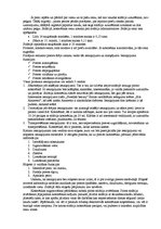 Prakses atskaite 'Prakses atskaite SIA "Datoru centrs" - solārijs', 8.