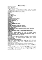 Konspekts 'Bezdelīgas un čurkstes', 5.