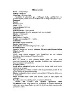 Konspekts 'Bezdelīgas un čurkstes', 8.