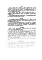 Konspekts 'Bezdelīgas un čurkstes', 9.