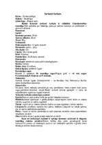 Konspekts 'Bezdelīgas un čurkstes', 10.