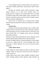 Referāts 'Notiesāto personu tiesības un pienākumi', 19.