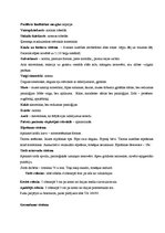 Konspekts 'Māszinības. Aprūpes plāns', 5.